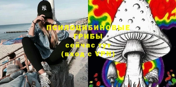 дживик Алзамай