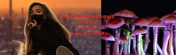 дживик Алзамай