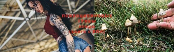 МДПВ Алексеевка