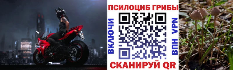 Псилоцибиновые грибы GOLDEN TEACHER  Себеж 